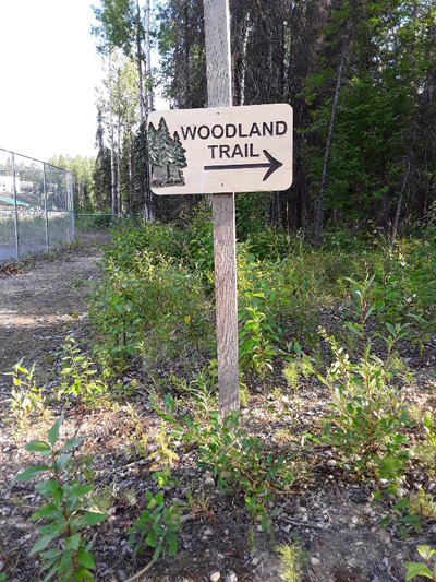 Woodland Trail Sign
